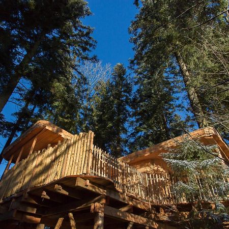Domaine De L'Authentique Cabanes Dans Les Arbres Fournet-Blancheroche ภายนอก รูปภาพ