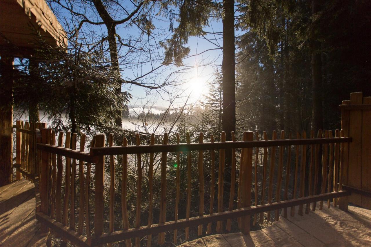 Domaine De L'Authentique Cabanes Dans Les Arbres Fournet-Blancheroche ภายนอก รูปภาพ