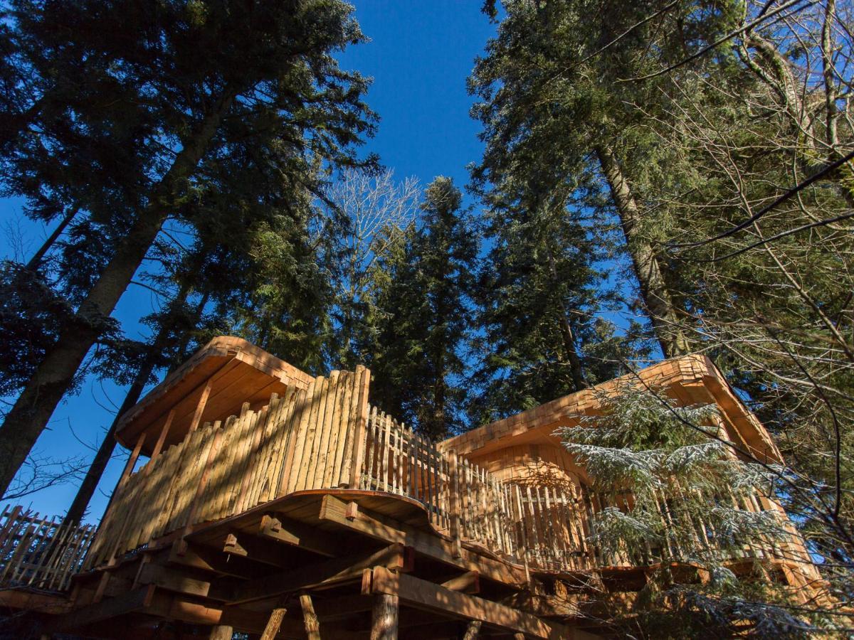 Domaine De L'Authentique Cabanes Dans Les Arbres Fournet-Blancheroche ภายนอก รูปภาพ