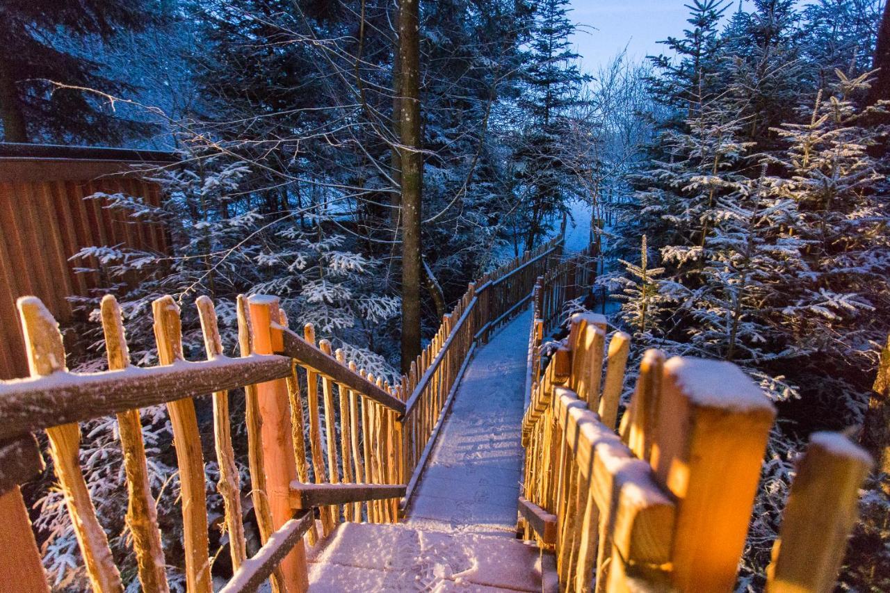 Domaine De L'Authentique Cabanes Dans Les Arbres Fournet-Blancheroche ภายนอก รูปภาพ