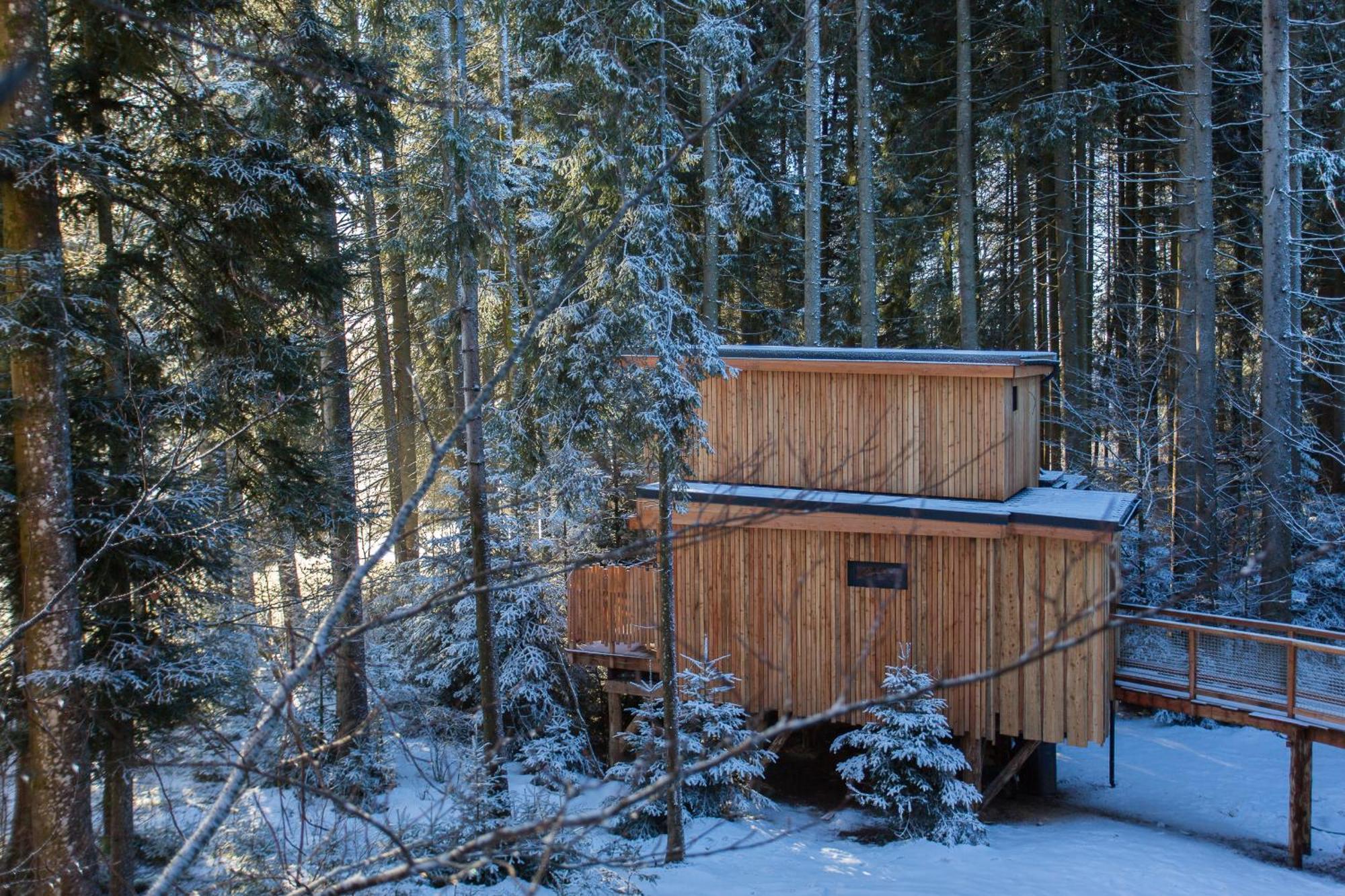 Domaine De L'Authentique Cabanes Dans Les Arbres Fournet-Blancheroche ห้อง รูปภาพ